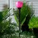 Garden lamp on the solar battery "Tulip", 6 × 38 × 6 cm, 1 LED, glow white