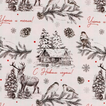 Paper packing gloss double -sided "New Year's graphics", 70 x 100 cm, New Year-2