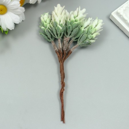 Artificial succulent for creating a florarium "Hall" 1 bouquet = 6 branches of hoar 13 cm-2