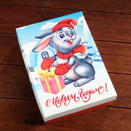Box the team cover is, with the window, "New Year's hare", 21 x 15 x 5.7 cm-1