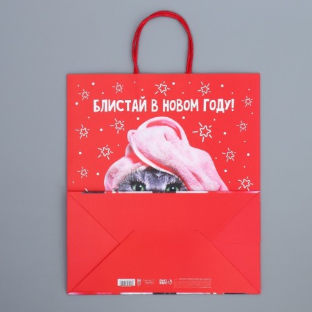 Gift Crafts "Blistai", 28 x 32 x 15 cm, New Year-7
