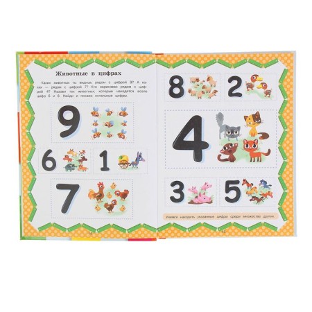Full course of training: from numbers to a confident account. Ermakovich D.I.-2