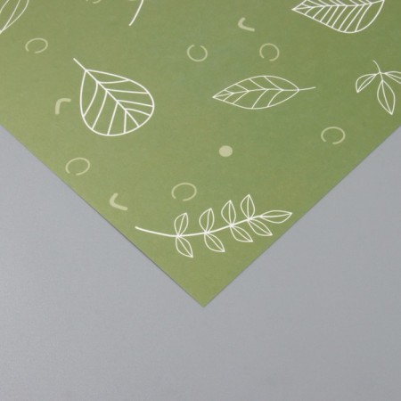 Scrapbooking paper "Green leaves" density 180 grams set 5 pcs 30.5x32 cm-3