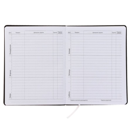 Universal diary for grade 1-11, solid cover, artificial leather, foam rubber, liesse, 80 g/m2-4
