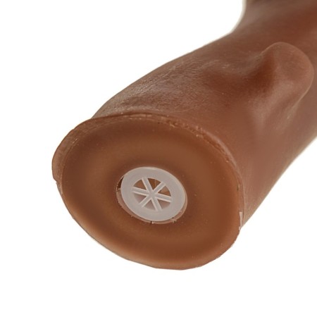 The squeak of "branch" for dogs, 21.5 cm, brown-3