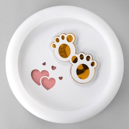Luer with PDD "Paws" LED 120W 3000-6000K white 50x50x9 cm-5