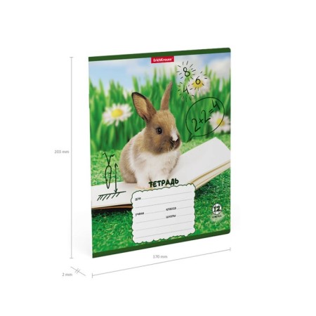 Notebook 12 sheets, cage, erichkrause, rabbits, mix-7