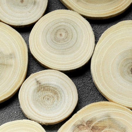 Saw a tree "acacia", round, d = 4-7 cm, h = 5 mm-2