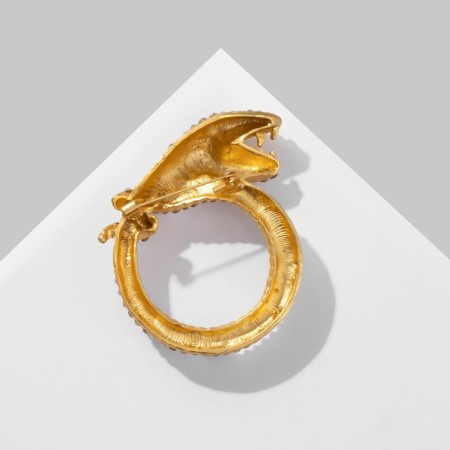 Brooch "Snake" with a ring, the color is black and white in matte gold-1