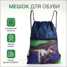 Bag for shoes on the lace, blue color