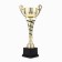 Cup 139C, award figure, gold, plastic stand, 29.5 × 13 × 7.5 cm.