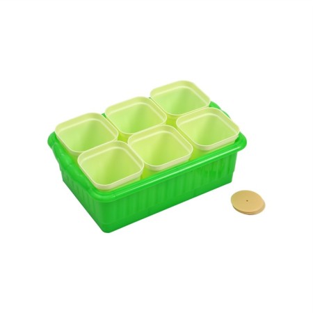 Set for seedlings: glasses of 250 ml (6 pcs.), Container 24 × 16 cm, mix-13