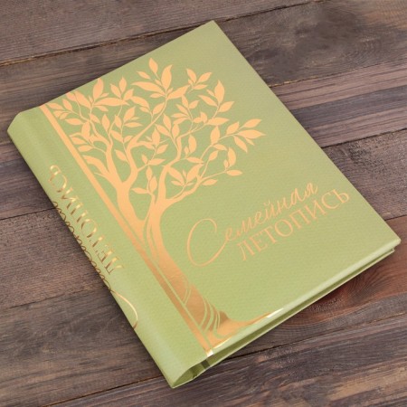 The genealogy book "Family Chronicle", 30 sheets, 24.5 x 29.2 cm-2