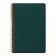 A5 business test, 60 sheets in the PragMatic cage, cardboard cover, tinted block 80g/m2, green