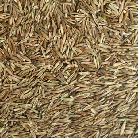 Lawn "Beauty", "Children", 0.5 kg-3