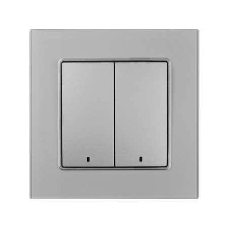 Tot Matte Glass switch, 10 a, 2 cl., With backlight, hidden, glass, silver-2