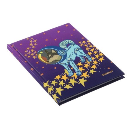 Notepad A6, 64 sheets Positive Book, solid cover, glossy lamination, designer block offset 60g/m2-1