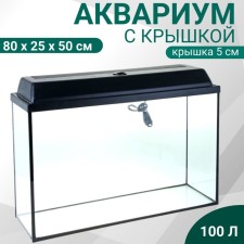 Aquarium rectangular 
