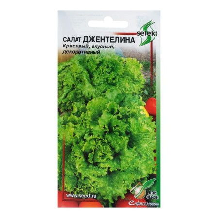 Salad "Gentelina" House of Seeds, 440pcs