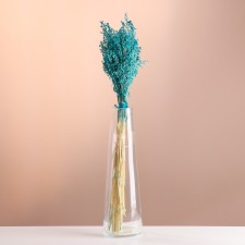 Set of dried flowers 