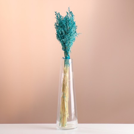 Set of dried flowers "millet", banch length 45 (+/- 6 cm), turquoise