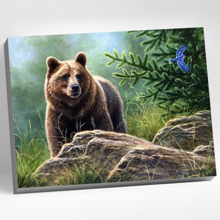 Picture on the numbers "Siberian brown bear", 40 × 50 cm, 20 colors
