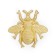 Cappio Pro Pro Pro "Beetle" 59 x 56 mm, color gold
