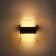 Facade lamp “Double Grand”, FSD-056, 10 W, 3000K, IP65, 220 V, plastic, black
