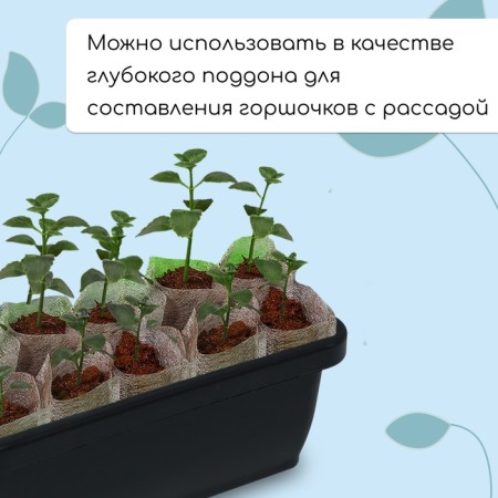 Box for seedlings, 36 × 15 × 12.5 cm, 4 l, color mix-3