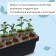 Box for seedlings, 36 × 15 × 12.5 cm, 4 l, color mix