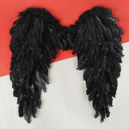 Angel wings, 60 × 57 cm, black color-2
