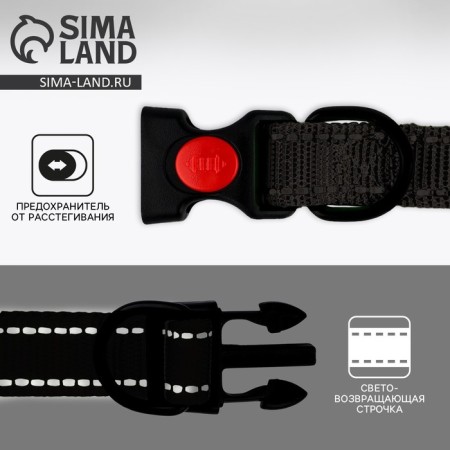 A collar with a nylon lining with a fastx 2 cm, black-1