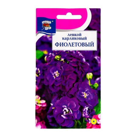 Flower seeds "dwarf", purple, 0.1 g