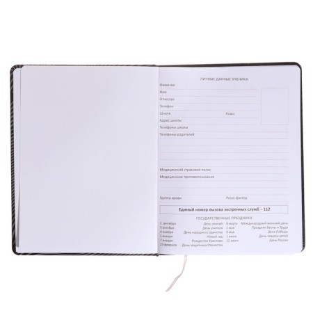 Universal diary for grade 1-11 Strike, hard cover, artificial leather, silkography, lies, 80 g/m2-3
