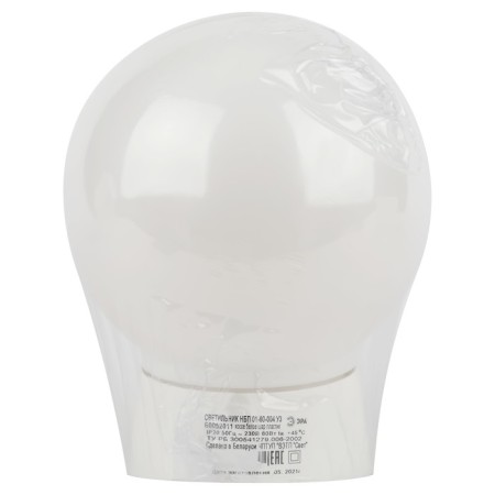 Lamp ERA NBP 01-60-004, E27, 60W, 150x200 mm, IP20-6