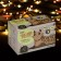 Garland "thread" 9 m, IP20, dark thread, 240 lamps, glow of multi, 8 modes, 220 V