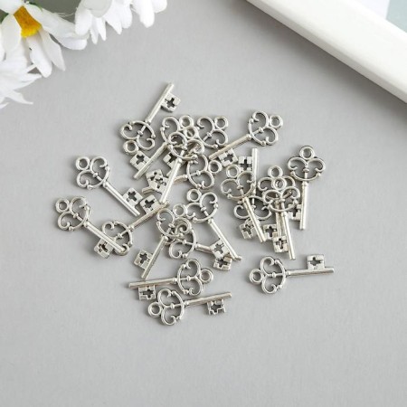 Decor for creativity Metal "Key" silver 2.3x1 cm-1