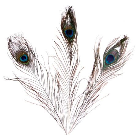 Feather of peacock for decor, set of 3 pcs., Size 1 pc. - from 25 to 30 cm-5
