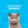 Hypoallergen shampoo for cats, 250 ml