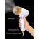 Pioneer SH109, ​​manual, 1000W, 100 ml, 20 g/min, silver-orange color