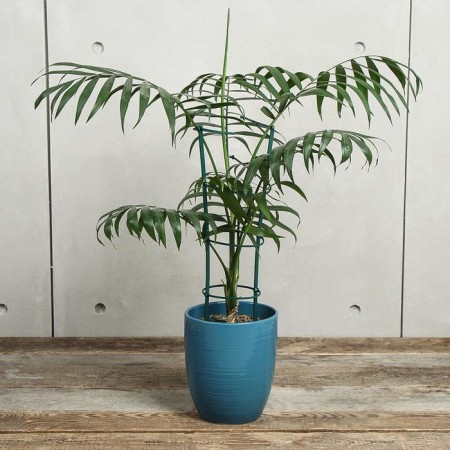 Support for plants, h = 40.5 cm, color mix, Greengo-1