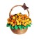 Set for the creativity of topiary "Flower Fantasy"