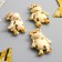 Magnet Polystone "Goby-Patter" MIX 6.3x4.3 cm