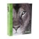 Photo album "lion" in 72 photos, 36 sheets, 15x21 cm
