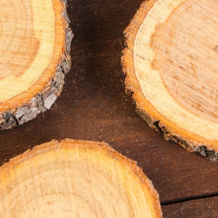 Set of oak saws 3pc 5x8x1cm-1