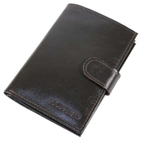 Cover for auto documents and button, department for passport, bills, brown color