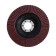 Circle of petal conical scrap, 125 x 22 mm, P100