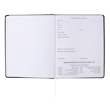 Universal diary for grade 1-11 "Do not crush me!", Integral cover, artificial leather, silk-screen printing, Lyasse, 80 g/m2-3