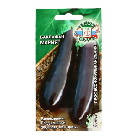 Seeds of eggplant "Maria F1" gray -haired saddles, high -yielding, without bitterness