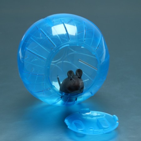 A ball for rodents on a metal base, 12 cm, blue-6